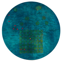 Blues in c sharp minor